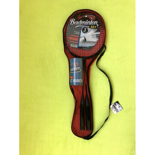 BadmintonSet 1-scaled
